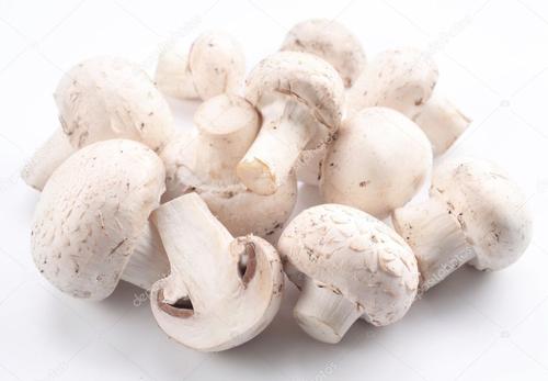 东北蘑菇
